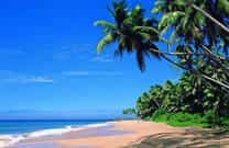 Luxury villas in goa with private pool