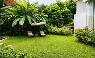 villa aletheia, Assagoa